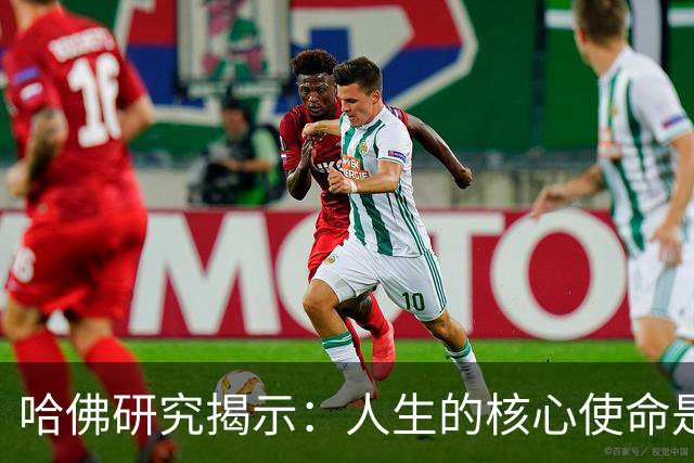 哈佛研究揭示：人生的核心使命是自我成长